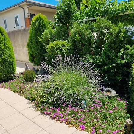 Apartment Nina Novi Vinodolski Eksteriør bilde