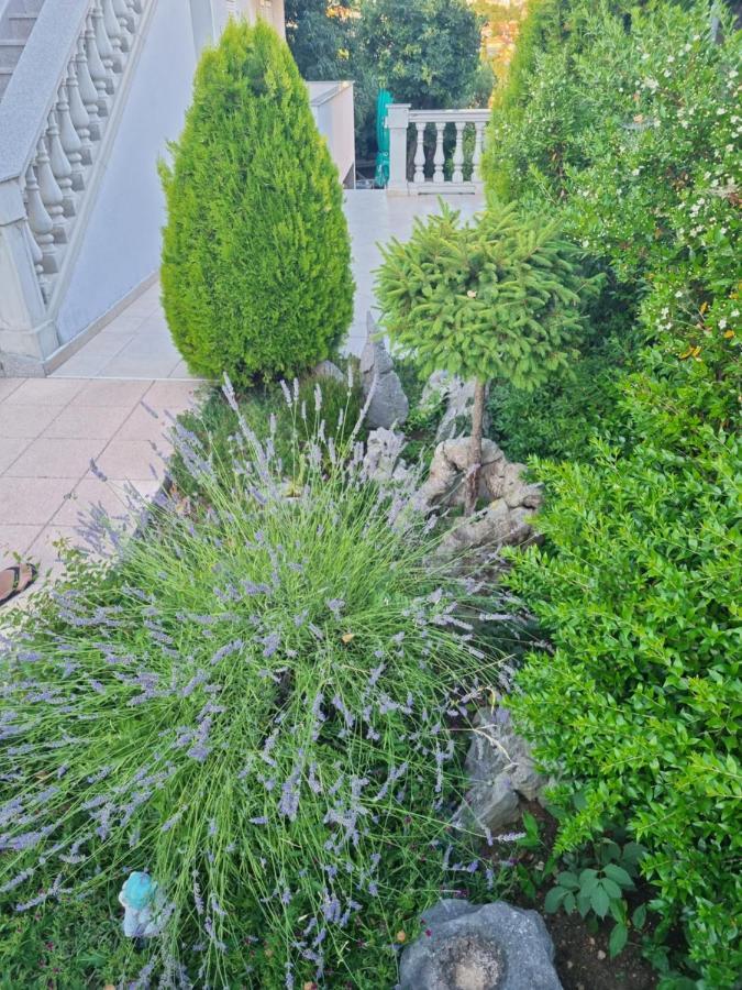 Apartment Nina Novi Vinodolski Eksteriør bilde